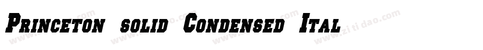 Princeton solid Condensed Italic字体转换
